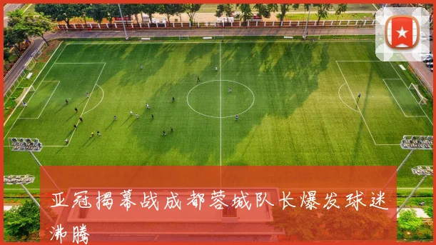 亚冠揭幕战成都蓉城队长爆发球迷沸腾