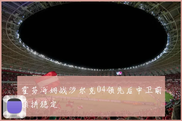 霍芬海姆战沙尔克04领先后中卫前顶拼稳定