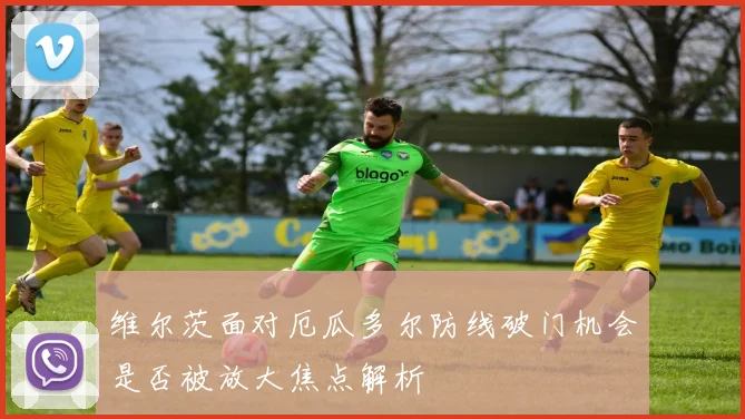 维尔茨面对厄瓜多尔防线破门机会是否被放大焦点解析