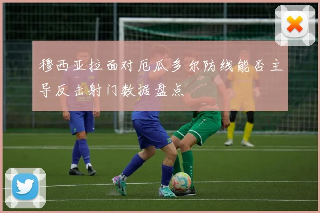 穆西亚拉面对厄瓜多尔防线能否主导反击射门数据盘点
