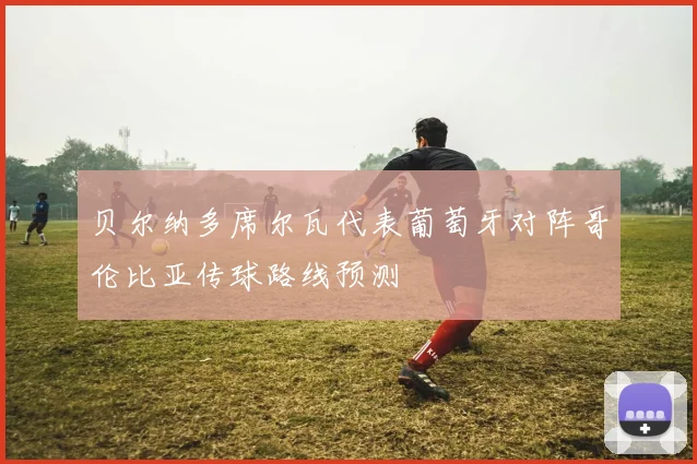 贝尔纳多席尔瓦代表葡萄牙对阵哥伦比亚传球路线预测